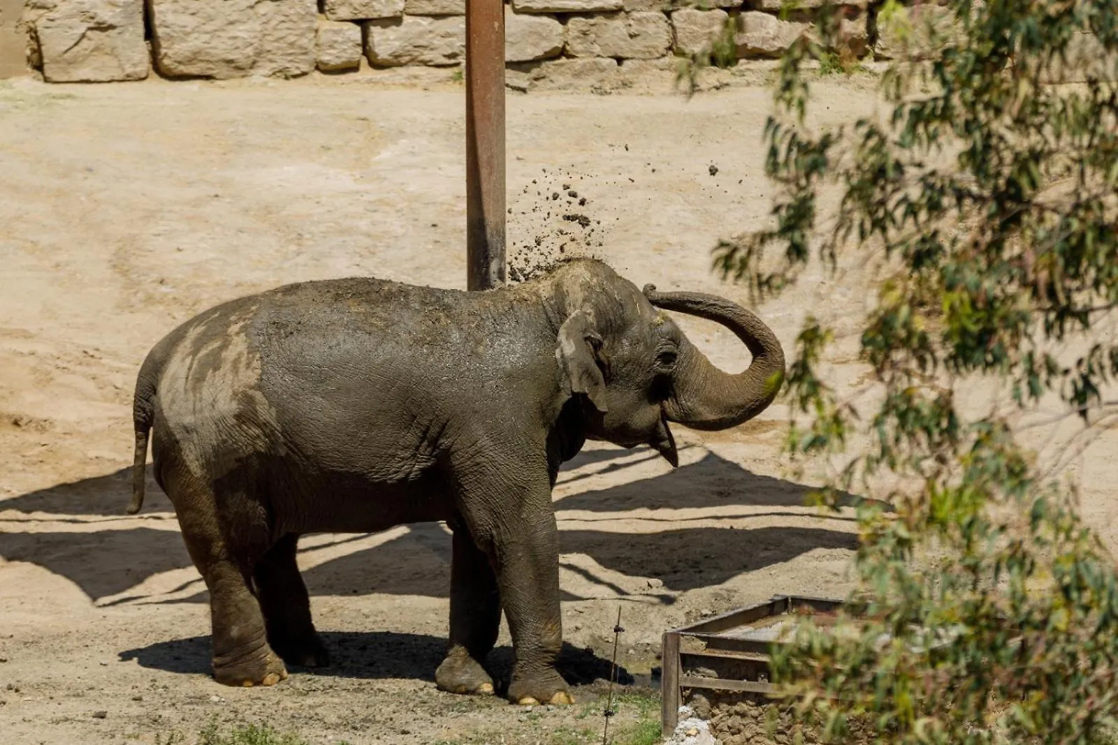 Hotel Selwo Lodge - Animal Park Tickets Included Estepona