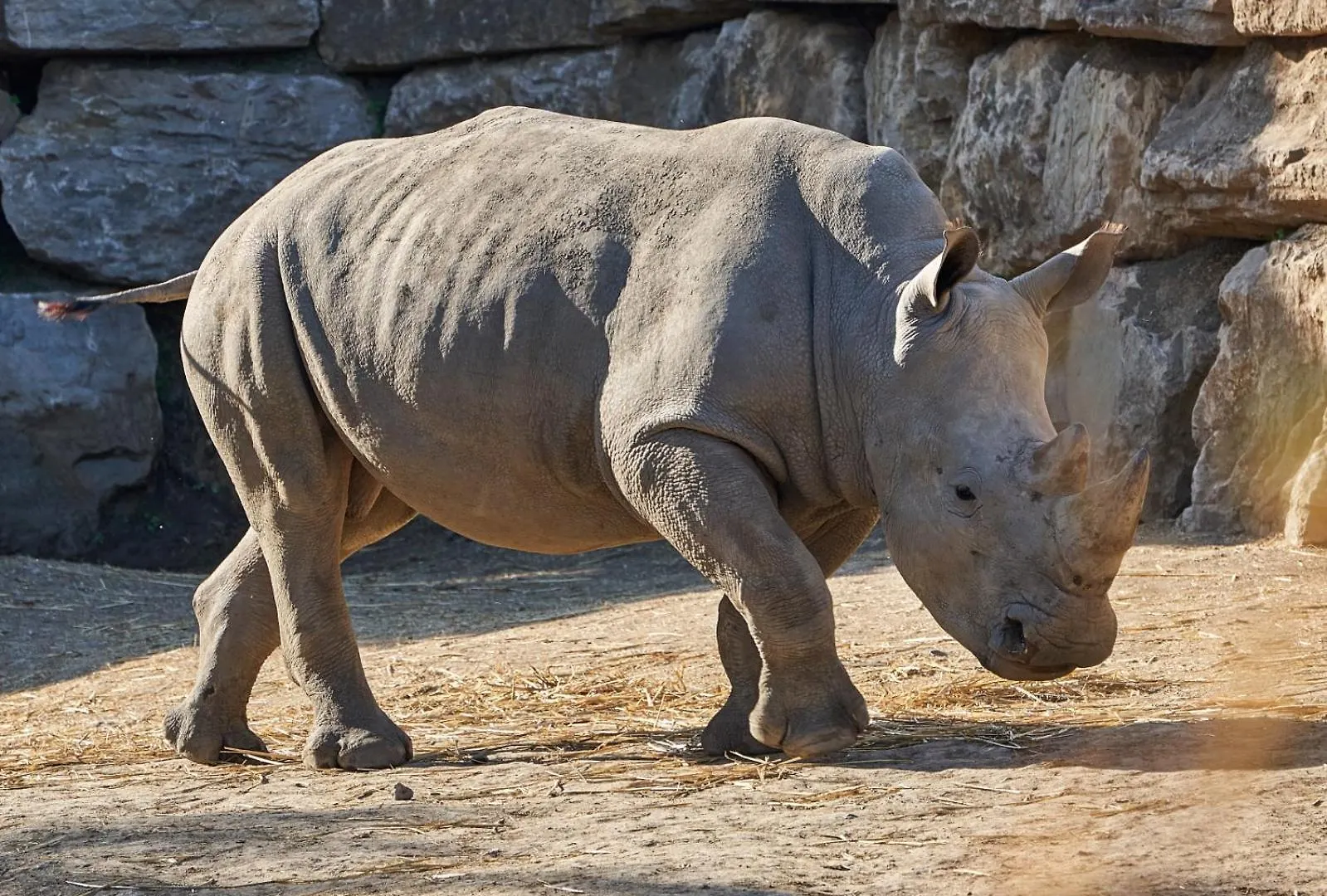 Hotel Selwo Lodge - Animal Park Tickets Included Estepona Espanha